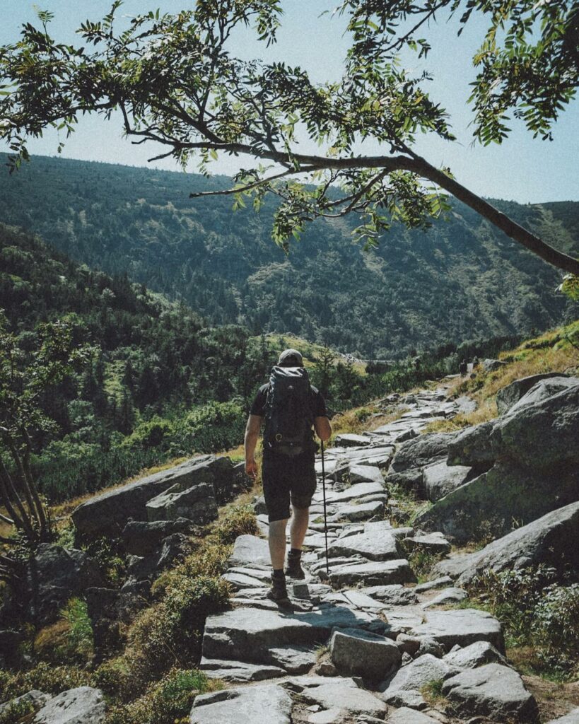 185265341_574681973515623_2813972134332410846_n